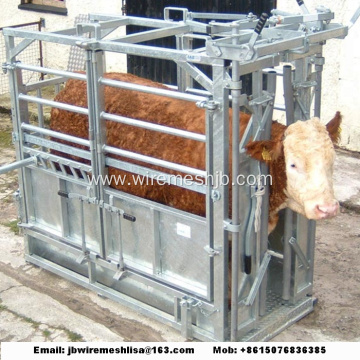 Heavy Duty Hot Dipped Galvanized Cattle Crush